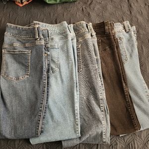 Torrid jeans